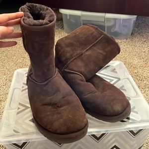 Short chocolate uggs